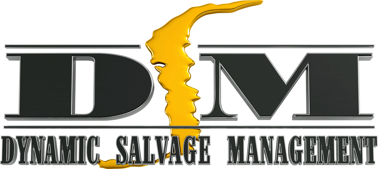 DSM-Logo